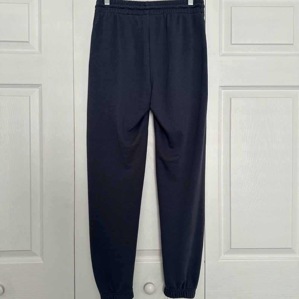 Aritzia TNA Women’s Airy AF Bluish Gray Perfect Joggers - Size M - EUC - Picture 5 of 6